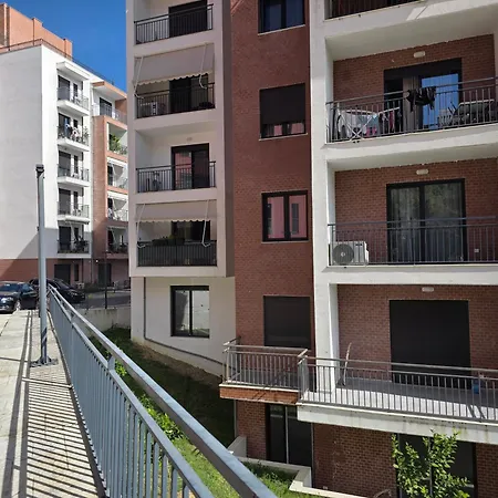 Mira Tirana